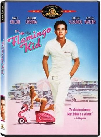 The Flamingo Kid DVD (Free Shipping)